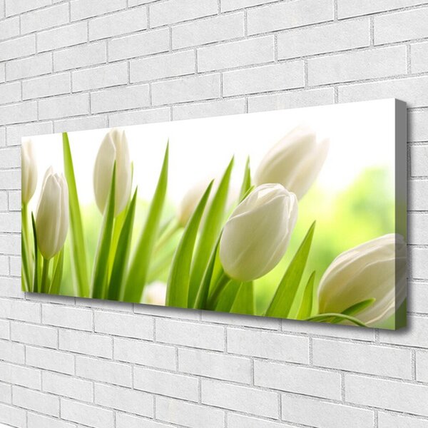 Obraz canvas na ścianę Tęczowy Dywan Tulipanów