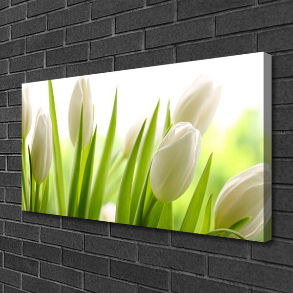 Obraz canvas na ścianę Tęczowy Dywan Tulipanów