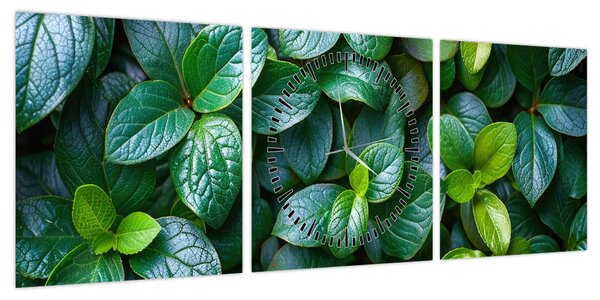 Obraz - Rośliny zielone (z zegarem) (90x30 cm)