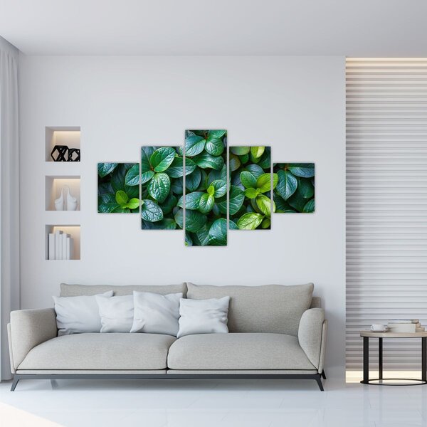 Obraz - Rośliny zielone (125x70 cm)