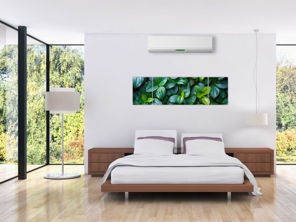 Obraz - Rośliny zielone (170x50 cm)