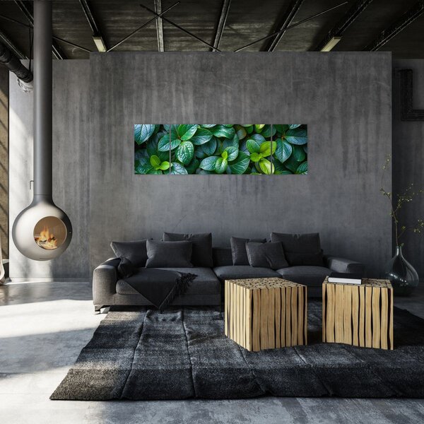Obraz - Rośliny zielone (170x50 cm)