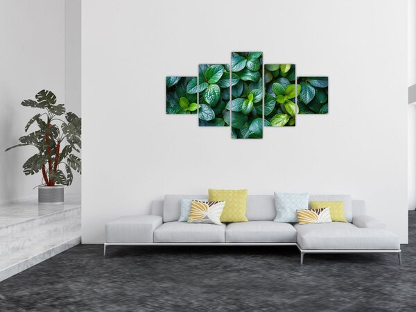 Obraz - Rośliny zielone (125x70 cm)