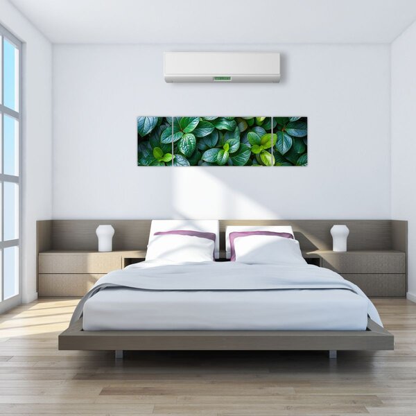 Obraz - Rośliny zielone (170x50 cm)