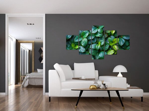 Obraz - Rośliny zielone (125x70 cm)