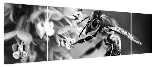 Obraz - Szczegół pszczoły (170x50 cm)