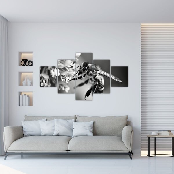 Obraz - Szczegół pszczoły (125x70 cm)