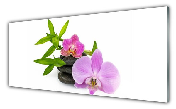 Obraz Szklany Kwiat Orchidea Roślina