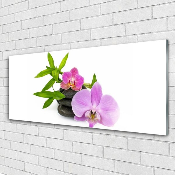 Obraz Szklany Kwiat Orchidea Roślina