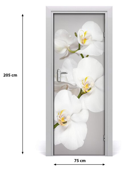 Nalepka Naklejka fototapeta na drzwi Biała orchidea