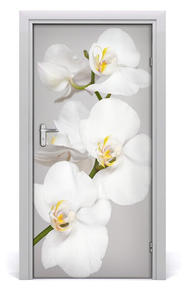 Nalepka Naklejka fototapeta na drzwi Biała orchidea