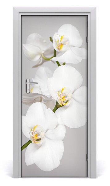 Nalepka Naklejka fototapeta na drzwi Biała orchidea
