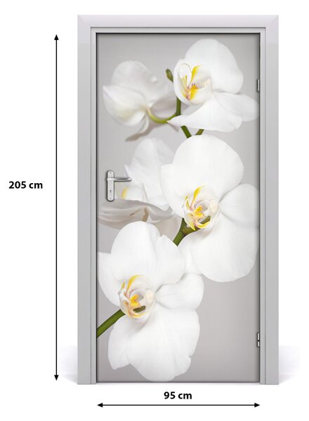 Nalepka Naklejka fototapeta na drzwi Biała orchidea
