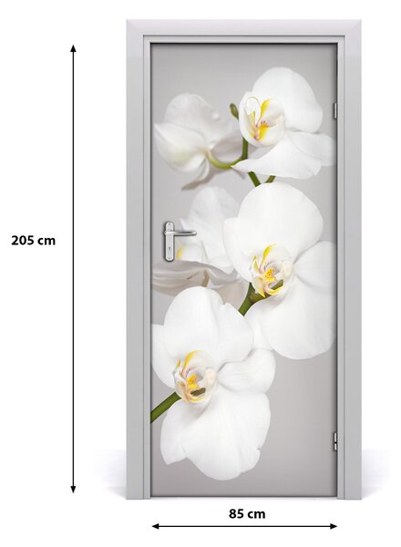Nalepka Naklejka fototapeta na drzwi Biała orchidea