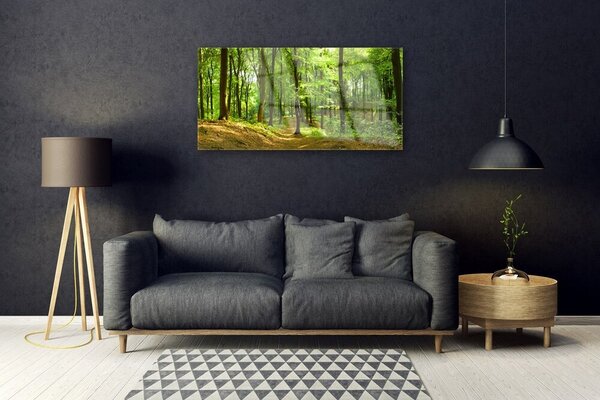Obraz na Szkle Las Ścieżka Natura
