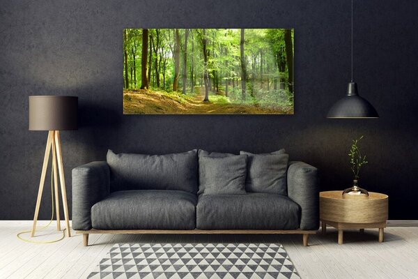 Obraz na Szkle Las Ścieżka Natura