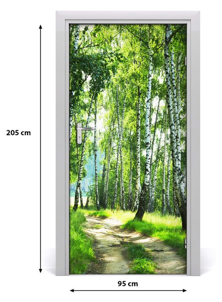 Naklejka fototapeta na drzwi Las brzozowy