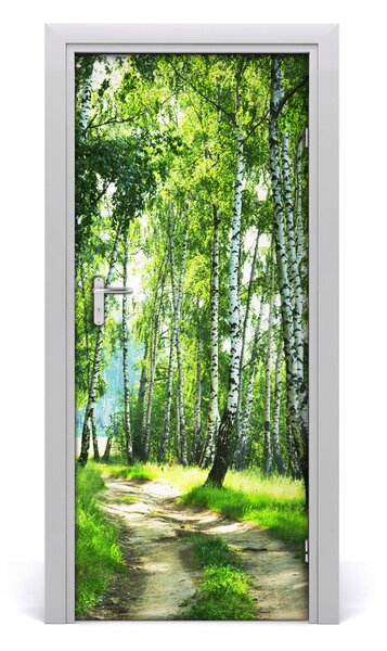 Naklejka fototapeta na drzwi Las brzozowy