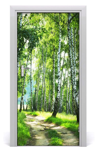 Naklejka fototapeta na drzwi Las brzozowy
