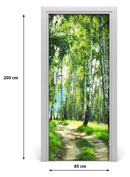 Naklejka fototapeta na drzwi Las brzozowy
