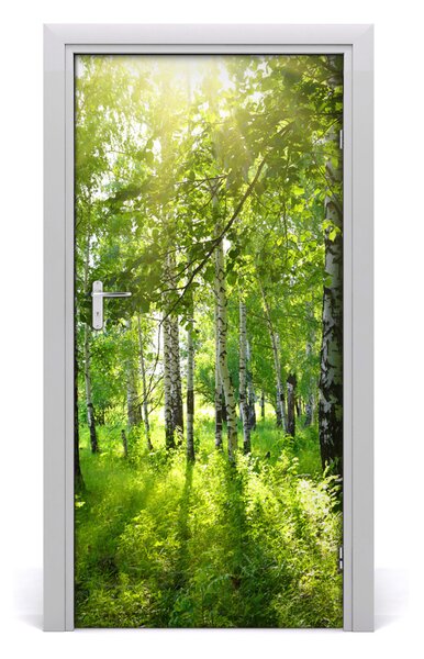 Naklejka fototapeta na drzwi Las brzozowy