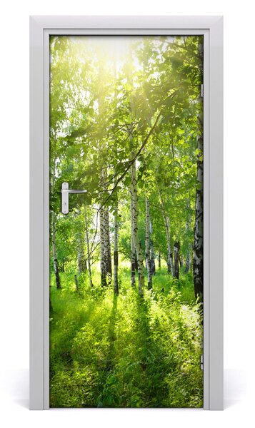 Naklejka fototapeta na drzwi Las brzozowy