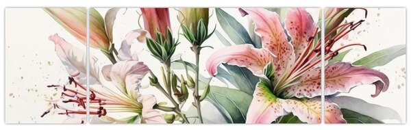 Obraz - Lilie, ilustracje (170x50 cm)
