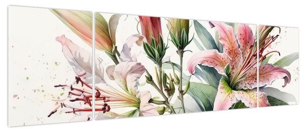 Obraz - Lilie, ilustracje (170x50 cm)