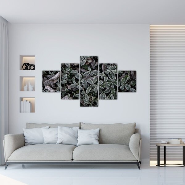 Obraz - Zamrożone rośliny (125x70 cm)