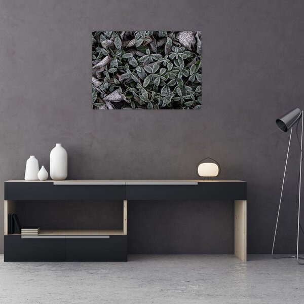 Obraz - Zamrożone rośliny (70x50 cm)