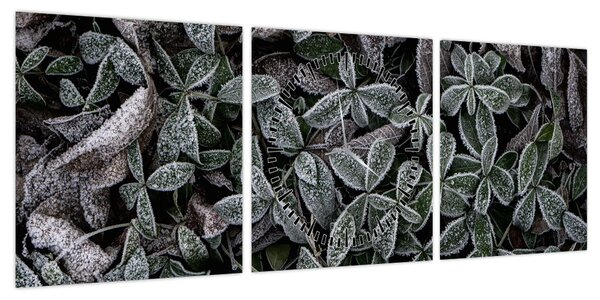 Obraz - Zamrożone rośliny (z zegarem) (90x30 cm)