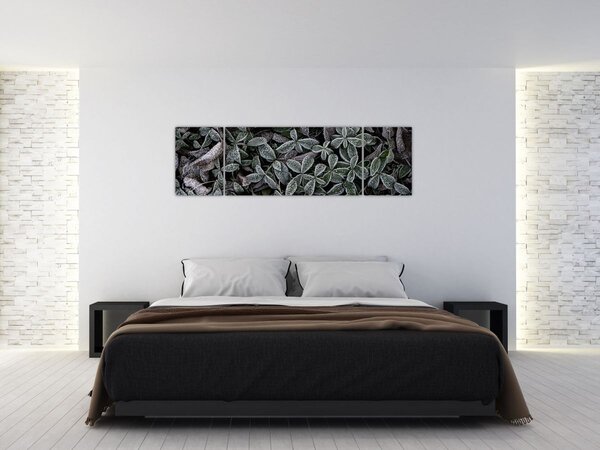 Obraz - Zamrożone rośliny (170x50 cm)