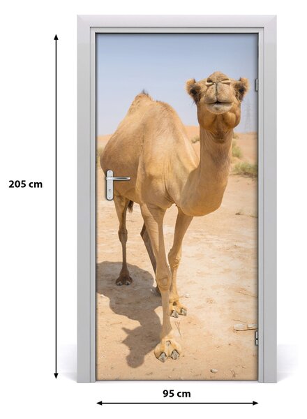 Naklejka samoprzylepna na drzwi Wielbłąd na pustyni