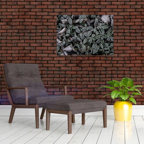 Obraz - Zamrożone rośliny (70x50 cm)