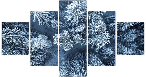 Obraz - Śnieżny las (125x70 cm)