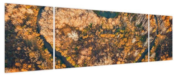 Obraz - Rzeka w kształcie serca (170x50 cm)