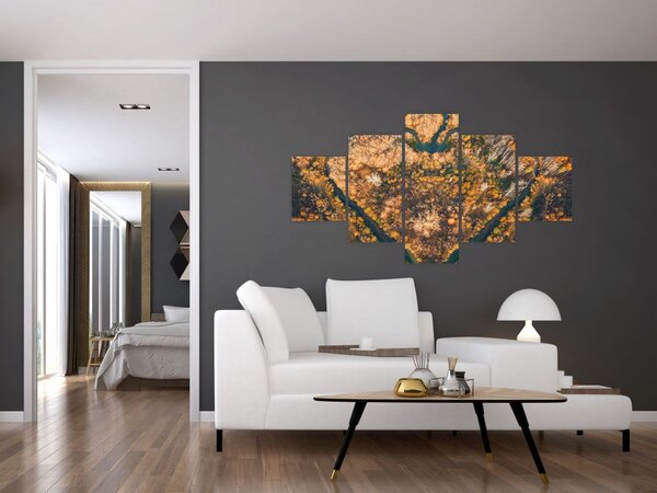 Obraz - Rzeka w kształcie serca (125x70 cm)