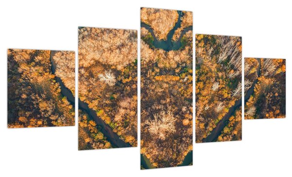 Obraz - Rzeka w kształcie serca (125x70 cm)