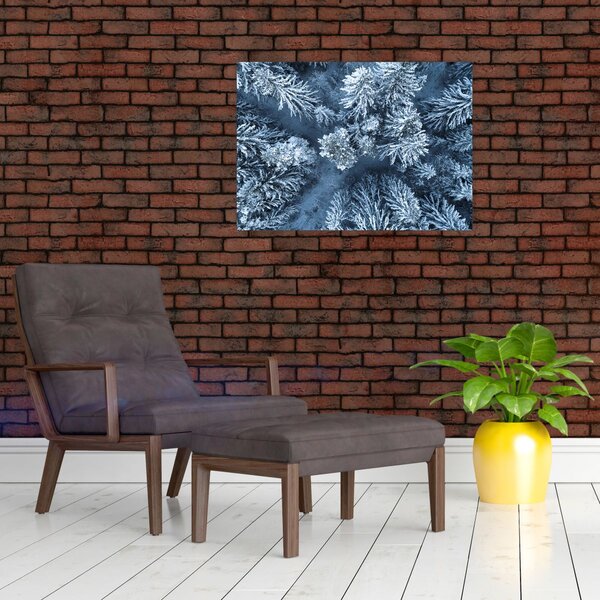 Obraz - Śnieżny las (70x50 cm)
