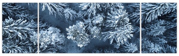 Obraz - Śnieżny las (170x50 cm)
