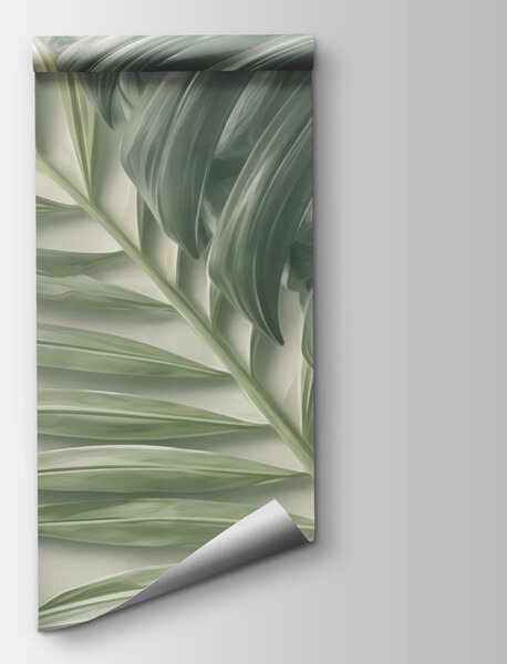 Fototapeta Zbiór zielonych liści, Fototapety Natura, Popularne Fototapety, t00892 - Tapeko.pl
