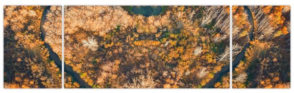 Obraz - Rzeka w kształcie serca (170x50 cm)