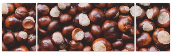 Obraz - Dojrzałe kasztany (170x50 cm)