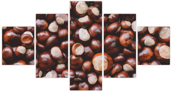 Obraz - Dojrzałe kasztany (125x70 cm)