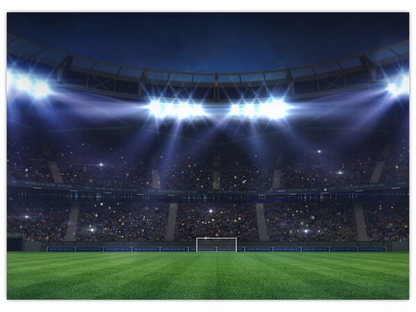 Obraz - Stadion piłkarski (70x50 cm)