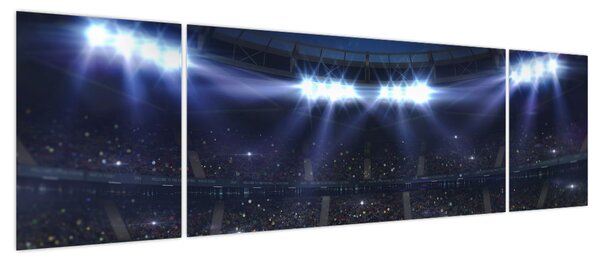 Obraz - Stadion piłkarski (170x50 cm)