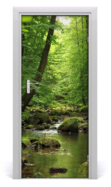 Naklejka fototapeta na drzwi Rzeka w lesie