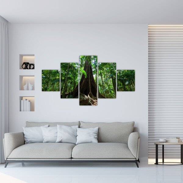 Obraz - Korzenie drzewa (125x70 cm)