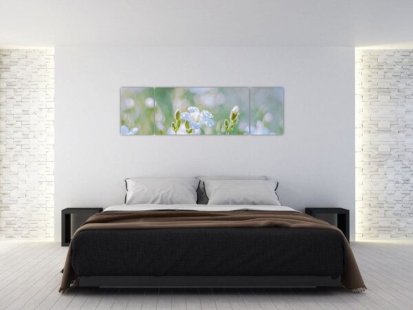 Obraz - Delikatne kwiaty (170x50 cm)