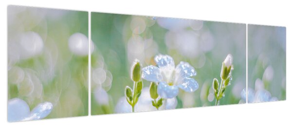 Obraz - Delikatne kwiaty (170x50 cm)